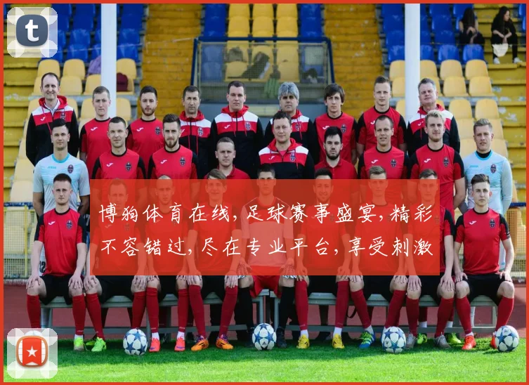 博狗体育在线,足球赛事盛宴,精彩不容错过,尽在专业平台,享受刺激体验